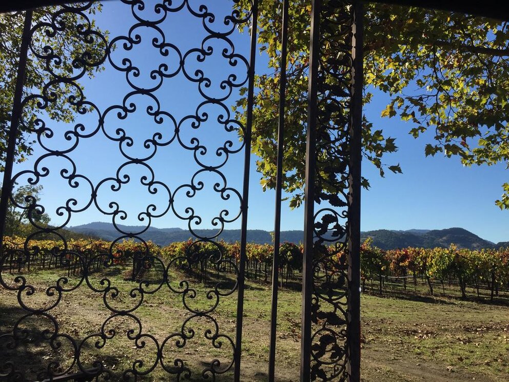 Chardonnay Lodge Vineyard